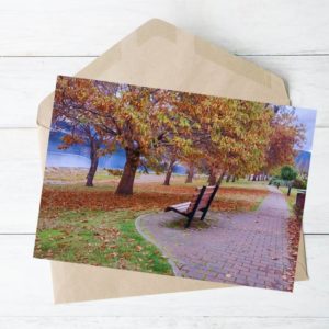 Autumn trees pathway with bench on the lake te anau nz