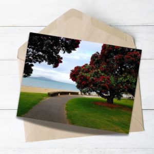 famous Auckland beach on Christmas time blooming Pohutukawa flower and bench.