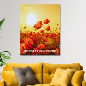 "Bloom where you are planted." inspirational poster positive quote red flowers poppies sunset